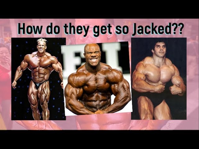 How Do Bodybuilders Get So Big? And Jacked?? And Ripped??? - Youtube