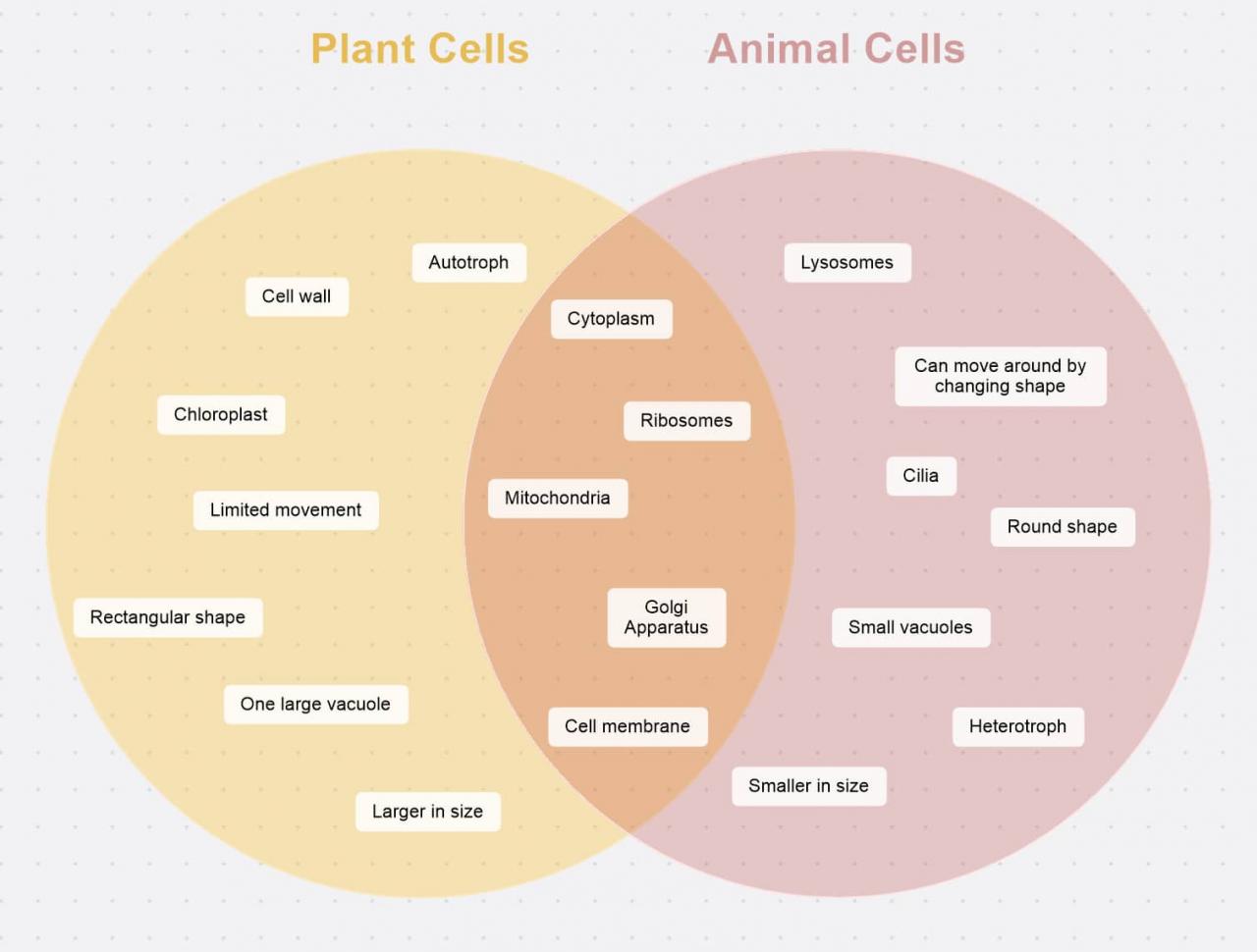 What Is A Venn Diagram And How To Make One? | Mindmanager