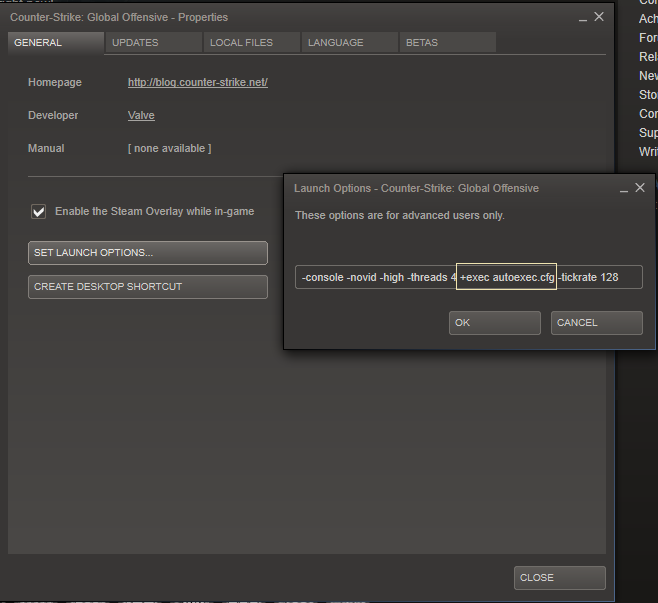 Steam Community :: Guide :: Cs:Go Autoexec/Config Guide