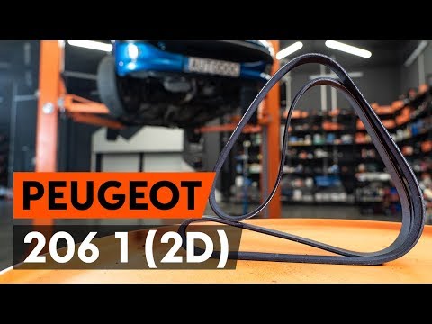 Hoe een multiriem vervangen / poly v-riem op een PEUGEOT 206 1 (2D) [AUTODOC-TUTORIAL]