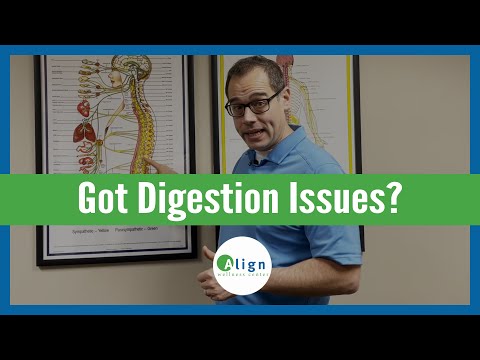 How the Lower Back Affects Digestion | The Connection Between the Back and Stomach