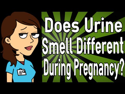 Does Urine Smell Different During Pregnancy?