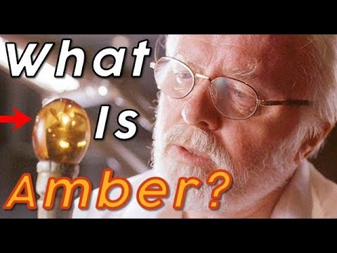 What Is Amber? DecAmber begins!