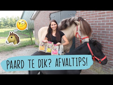 Paard te DIK? Hoe laten AFVALLEN? | #23 | HorseFitShop