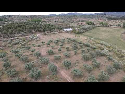 Monsanto 200 Hectares | Property for Sale