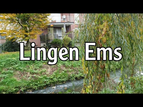 Autumn turquoise landscapes in Lingen Germany |4K 🇩🇪