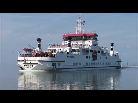 Met de veerboot Ameland - Holwerd vv juni 2019