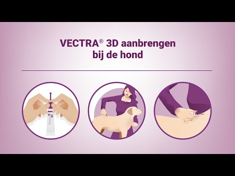 VECTRA 3D aanbrengen bij de hond