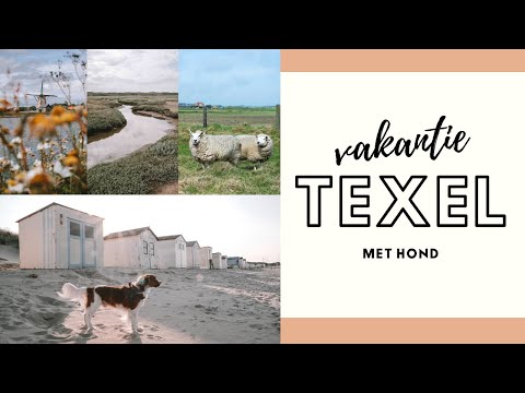 Vakantie in de natuur van Texel [met hond] | Map of Joy & Woef Welkom #texel #vakantieinnederland