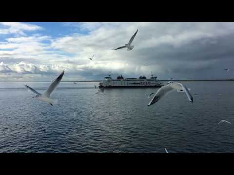 TESO - Texels Eigen Stoomboot Onderneming