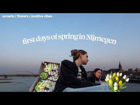 first days of spring in nijmegen 🌷 sunset dinners, flowers, uni life