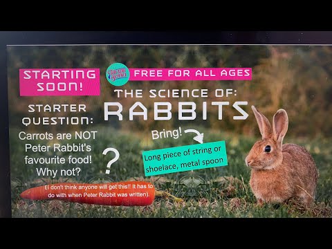 Science Show: Rabbits!