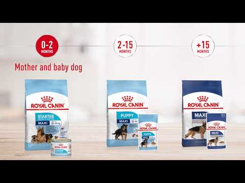 Royal Canin | Size Health Nutrition | Maxi